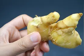 生姜能放冰箱保存吗？卖姜老板教我一招，不干不烂，放一年都新鲜视频封面