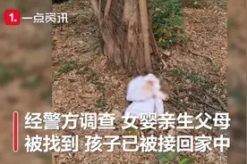 父亲因经济压力大抛弃三胎女儿被拘：夫妻二人一共生育了三个女儿视频封面