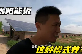 羊圈上面用太阳能板可以吗？既能养羊还能发电，实拍给大家介绍下视频封面
