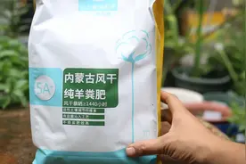 养花施什么有机肥？园艺师教你，使用发酵羊粪肥，所有植物都通用
