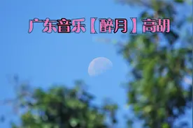 广东音乐【醉月】视频封面