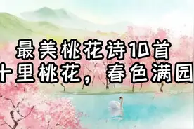 十大诗人写下十首最美的桃花诗，惊艳了整个春天，你喜欢哪一首。视频封面