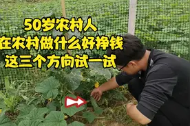 50岁农村人，在农村做什么好挣钱？这三个方向可以试一试视频封面
