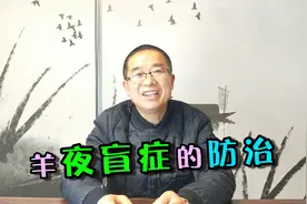 羊夜盲症是怎么引起的？有哪些危害？陈院长分享羊夜盲症的防治视频封面