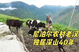尼泊尔农村老汉单身40年，和狗为伴不曾娶妻，独居深山享受孤独视频封面