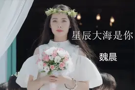 星辰大海是你  魏晨 《那片星空那片海》电视剧片头曲视频封面
