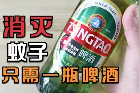 夏天蚊子多？只需一瓶啤酒，蚊子来多少灭多少，比蚊香管用，真棒视频封面