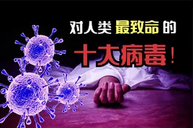 对人类最致命的十大病毒！狂犬病、艾滋病上榜，第一致死率超80%视频封面