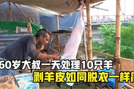 60岁大叔老当益壮，一天还能处理10只羊，2分钟剥好皮，不服不行视频封面