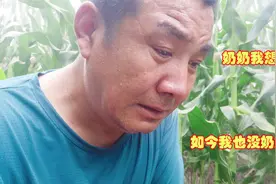 农村大哥给奶奶上坟，在奶奶坟前说的什么话，说的自己泪流满面视频封面