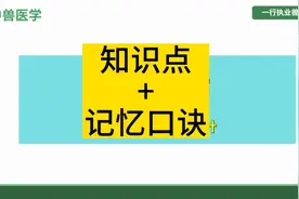 执业兽医资格考试，最让人麻头皮的中兽医，有口诀的加持视频封面