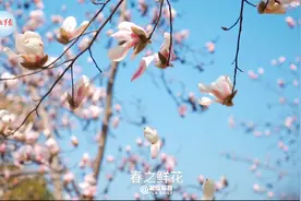 不负春光！和海军兵哥兵姐一起“悦”读！视频封面