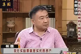 【林园：怎样寻找十倍股】  2011年a股在2500点的专访视频封面