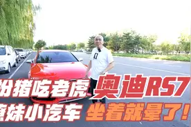 什么叫扮猪吃老虎，这样的操作你学会了吗？视频封面