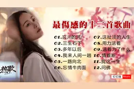 全网最好听最伤感的十二首情感歌曲，每一首都凄美动听视频封面