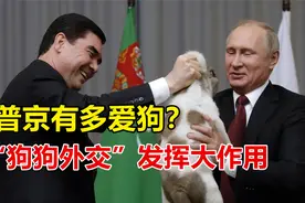普京有多爱狗？“狗狗外交”发挥大作用视频封面