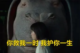 玉子：女孩养了只6吨重的猪，你救我一时，我护你一生视频封面