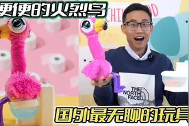 国外最火的玩具，竟是一只鬼畜火烈鸟？特长：爱拉便便？视频封面