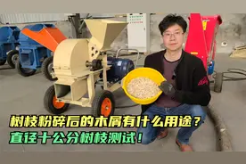 树枝粉碎后的木屑有什么用途？树枝粉碎机测试直径10公分树枝！视频封面