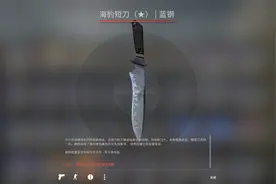 CSGO：学生党必备近战饰品，价格便宜还能转圈