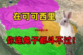 进入“生命禁区”可可西里，你可能连兔子都斗不过!视频封面