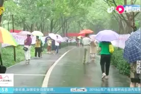 又是一年七夕到，济南千佛山相亲大会举行，相亲现场爸妈忙视频封面