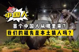 揭秘中国人起源：首个中国人从哪里来？我们的祖先是本土猿人吗？视频封面