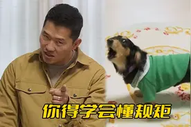 腊肠犬嗓门太大，害得主人一个月收到10条投诉，差点被迫搬家视频封面
