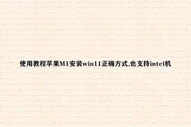 使用教程苹果M1安装win11正确方式,也支持intel机【转载】视频封面