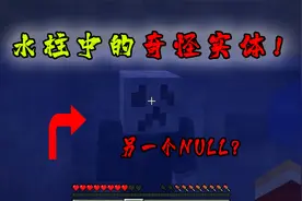 我的世界：藏在神秘种子-NULL的奇怪实体！视频封面