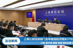 上海公安经侦部门全年挽回经济损失370余亿元|法治新闻视频封面
