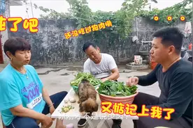 就因为大哥一句话，农村老妈做饭非要把捡的小狗当肉炖，啥情况？视频封面