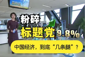 外媒称“中国经济独‘腿’难支”，中国经济到底“几条腿”？视频封面