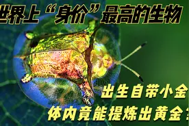 地球上最土豪的生物，身披黄金战甲，身价可与黄金媲美？视频封面