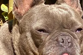 股市下午突然下跌为何？螺纹热卷对冲机会还有吗视频封面