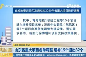 山东省重大项目名单调整，增补15个退出32个视频封面