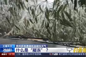 冷！贵州多地遭遇低温凝冻天气，“数九寒天”模式开启|24小时视频封面
