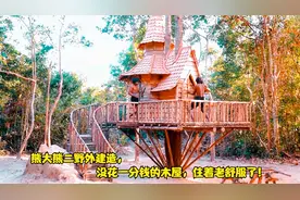 熊大熊二野外建造，没花一分钱的木屋，住着老舒服了！视频封面