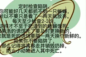 如何合法的捉个野生蜥蜴当宠物视频封面