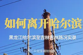 京哈高速修路，国道传言都是坑，如何离开哈尔滨？G202路况实录视频封面