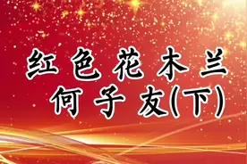 八办微视 | 红色花木兰——何子友（下）