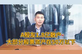 A股友1.8亿散户，大部分股票资产在50万以下视频封面