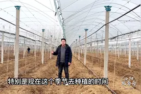 春季栽苗过程中，有哪些注意事项？如何才能苗木保障成活率？视频封面