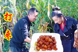 用新鲜枣做蜜枣软糯香甜，醉枣酒香醇厚，做法简单方便储存又好吃