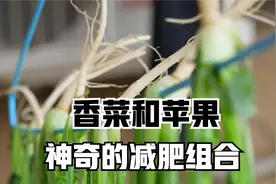 香菜根和苹果是最强减肥组合，用好一天瘦3.3斤，轻松甩掉小肚腩视频封面
