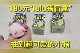 180元易拉罐“lulu猪盲盒”，抽到红屁股小猪，绒毛质感太舒服了