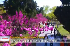 《西安都市圈发展规划》获批  城乡深度融合实现高质量发展视频封面
