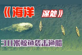 30米的鲸鱼袭击人类，瞬间掀翻三艘渔船，但更大的灾难还在后面！