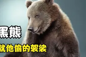 偷袈裟的就是这货，黑熊！也叫大狗熊视频封面
