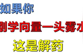 如果刚学向量一头雾水，这是事半功倍的解药！掌握高中向量本质视频封面